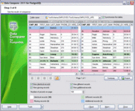 EMS Data Comparer 2005 for PostgreSQL screenshot